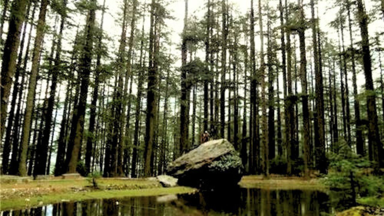 Best Places to visit in Manali