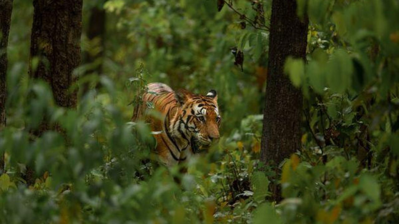 Dangerous Places in Madhya Pradesh 